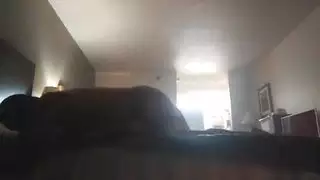تمراس لبزازيل هندي تمراس لبزازيل هندي