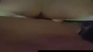 الحمار جولة يتم صدمها هنا الحمار جولة يتم صدمها هنا