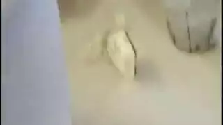 جوديث الحلو تبين لنا ميزاتها المدهشة. جوديث الحلو تبين لنا ميزاتها المدهشة.