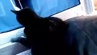 انها تحمس متحمس وإصبع الاصبع انها تحمس متحمس وإصبع الاصبع