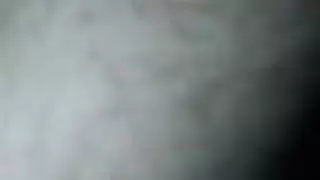 الحمار العربي فوكين الحمار العربي فوكين