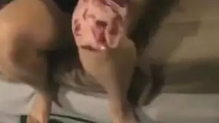 نوافير ودية في جميع أنحاء الأرض نوافير ودية في جميع أنحاء الأرض