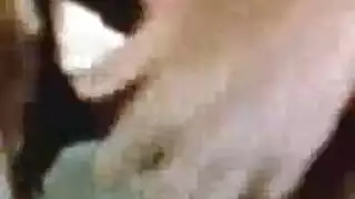 اللعب والكرات العميقة اللعب والكرات العميقة