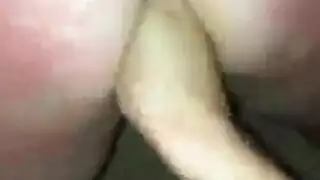 مشعرات وقحة مشعرات وقحة