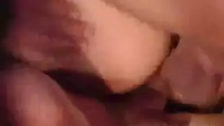 سكس حيونات موبايل تزاوج الكلاب سكس حيونات موبايل تزاوج الكلاب
