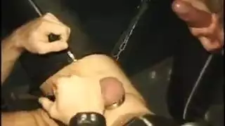 جنس جزر القمر جنس جزر القمر