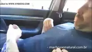 رسام قرنية يدفع دمية دب رسام قرنية يدفع دمية دب