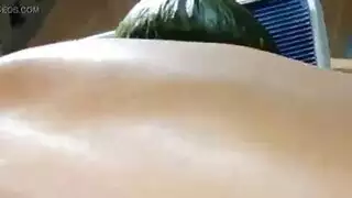 تظهر زقزقة قوية جدا على التوالي الحمار تظهر زقزقة قوية جدا على التوالي الحمار