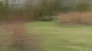 تهتك مهبلها