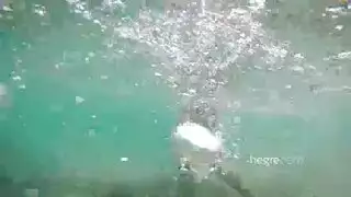 وحده تمشي وتوقع وبطب بكسه شجره كبيره