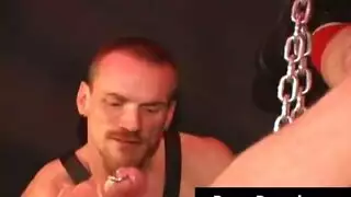 غريب النمساوي رعشة الجماع