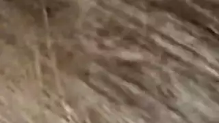 مفاصل ملابس
