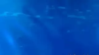 ماراثون البورن: أكثر مشاهد ماري تشوي إثارة