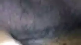 طيارى
