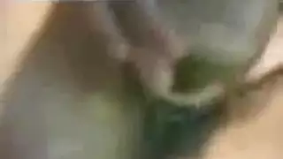 سكس سعوديات مع بكستني او سودني