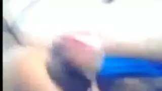 باميلاةريوس
